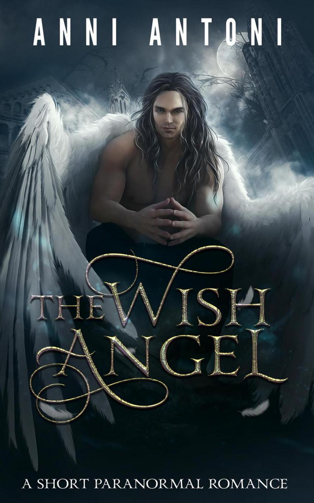 Big bigCover of The Wish Angel