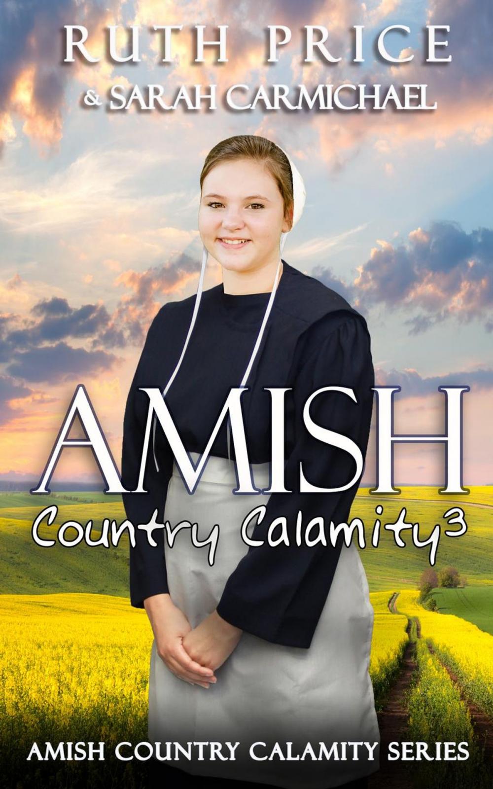 Big bigCover of An Amish Country Calamity 3