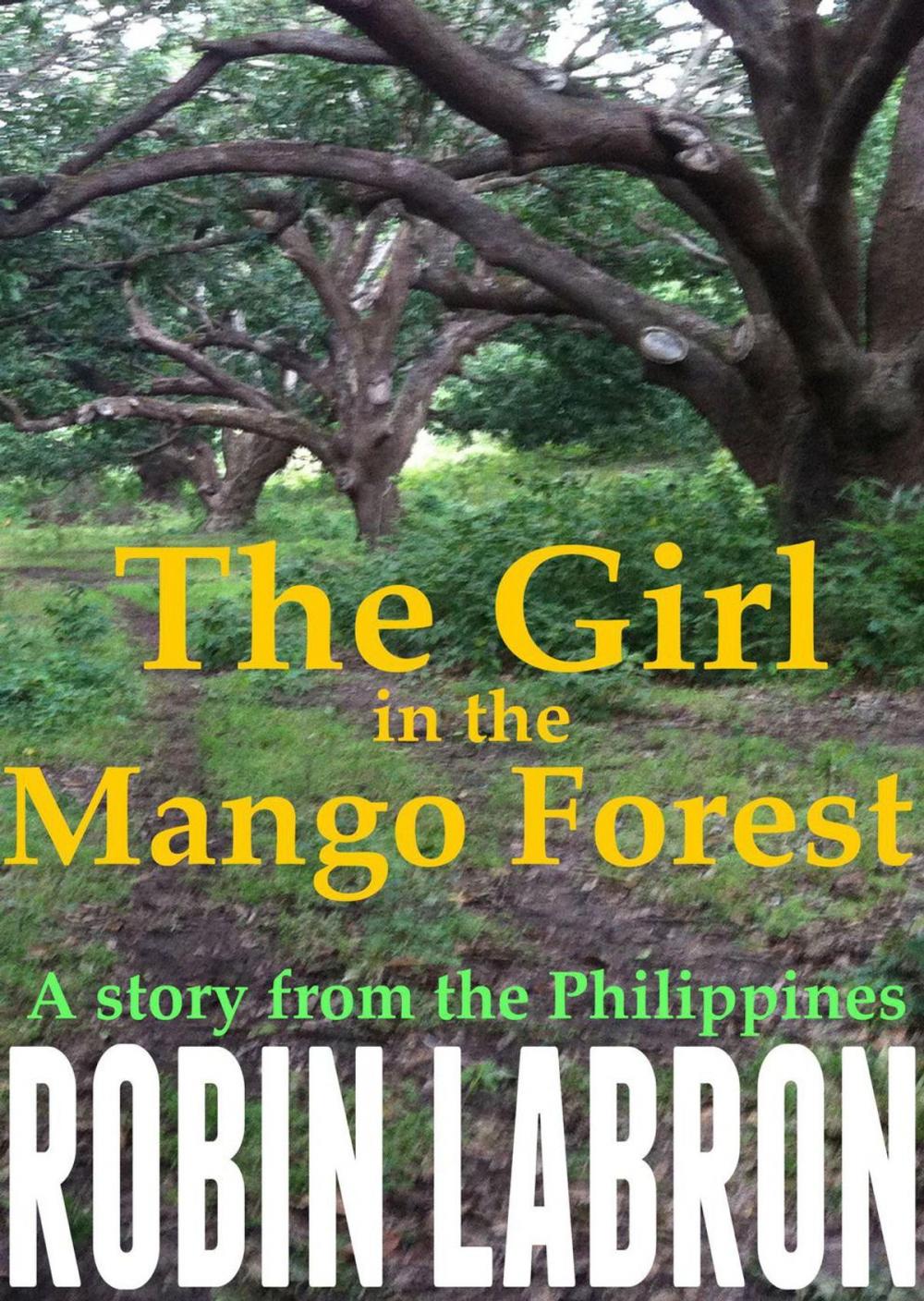 Big bigCover of The Girl in the Mango Forest