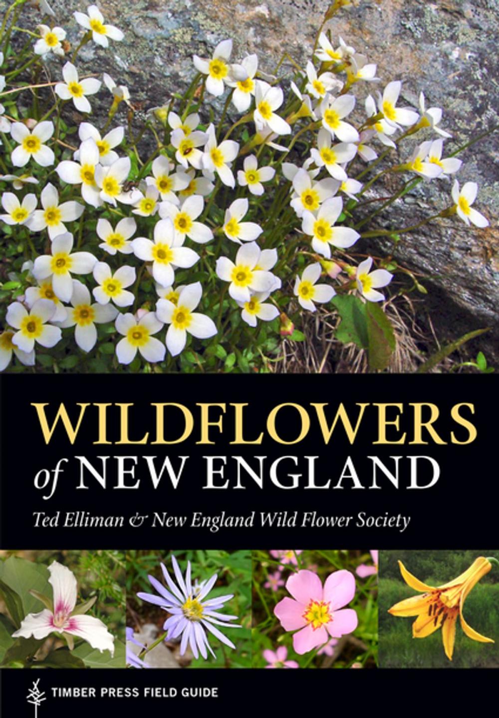 Big bigCover of Wildflowers of New England