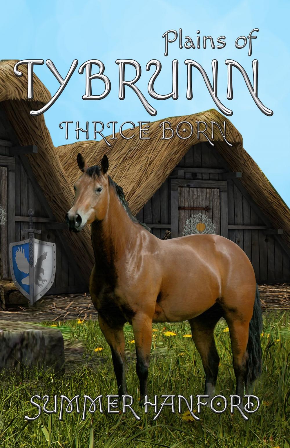 Big bigCover of Plains of Tybrunn