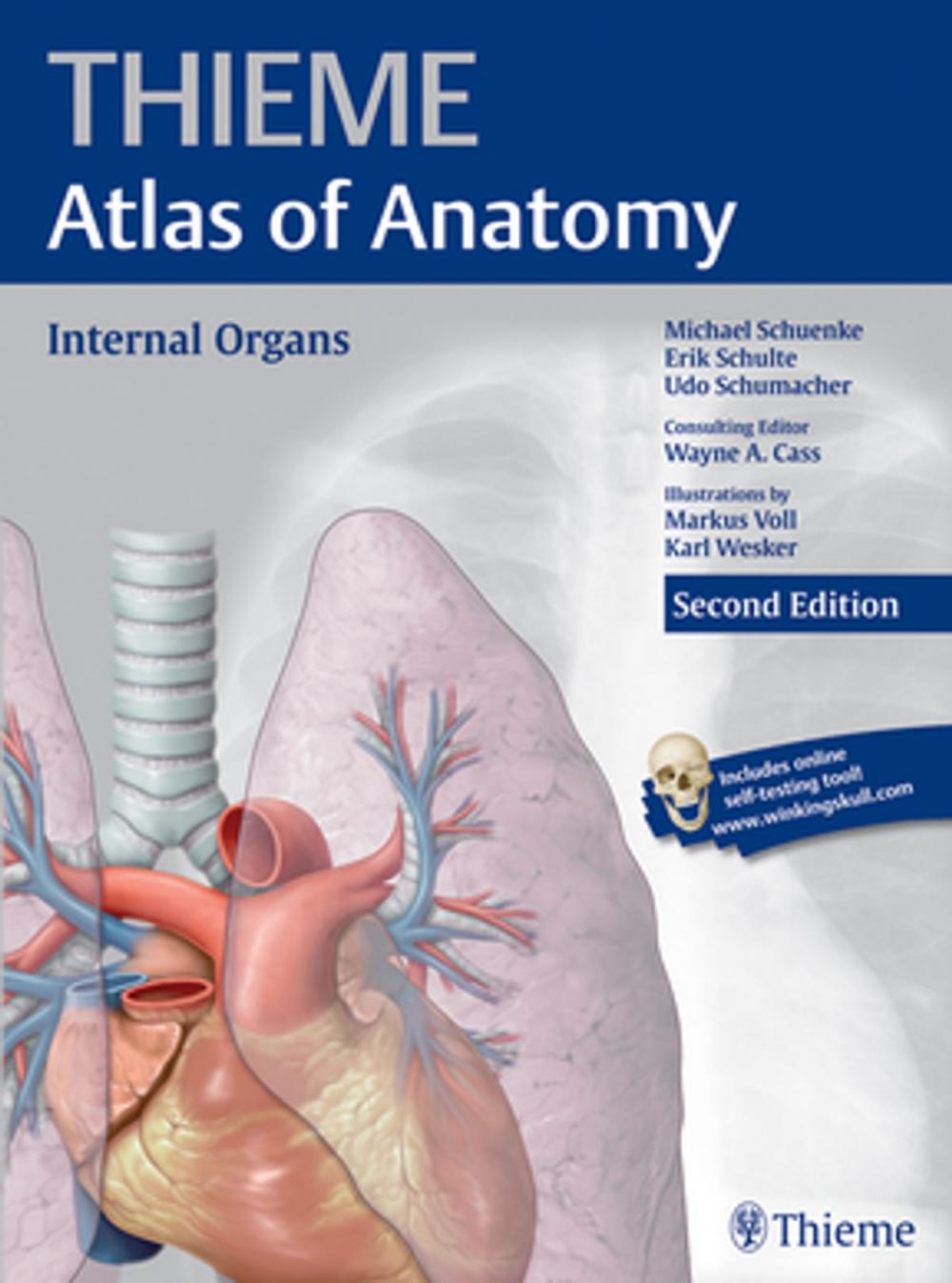 Big bigCover of Internal Organs (THIEME Atlas of Anatomy)