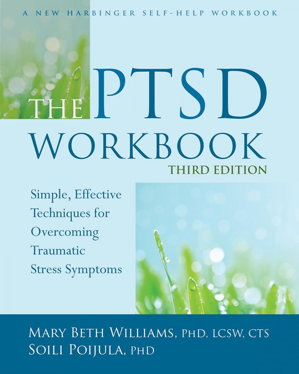 Big bigCover of The PTSD Workbook