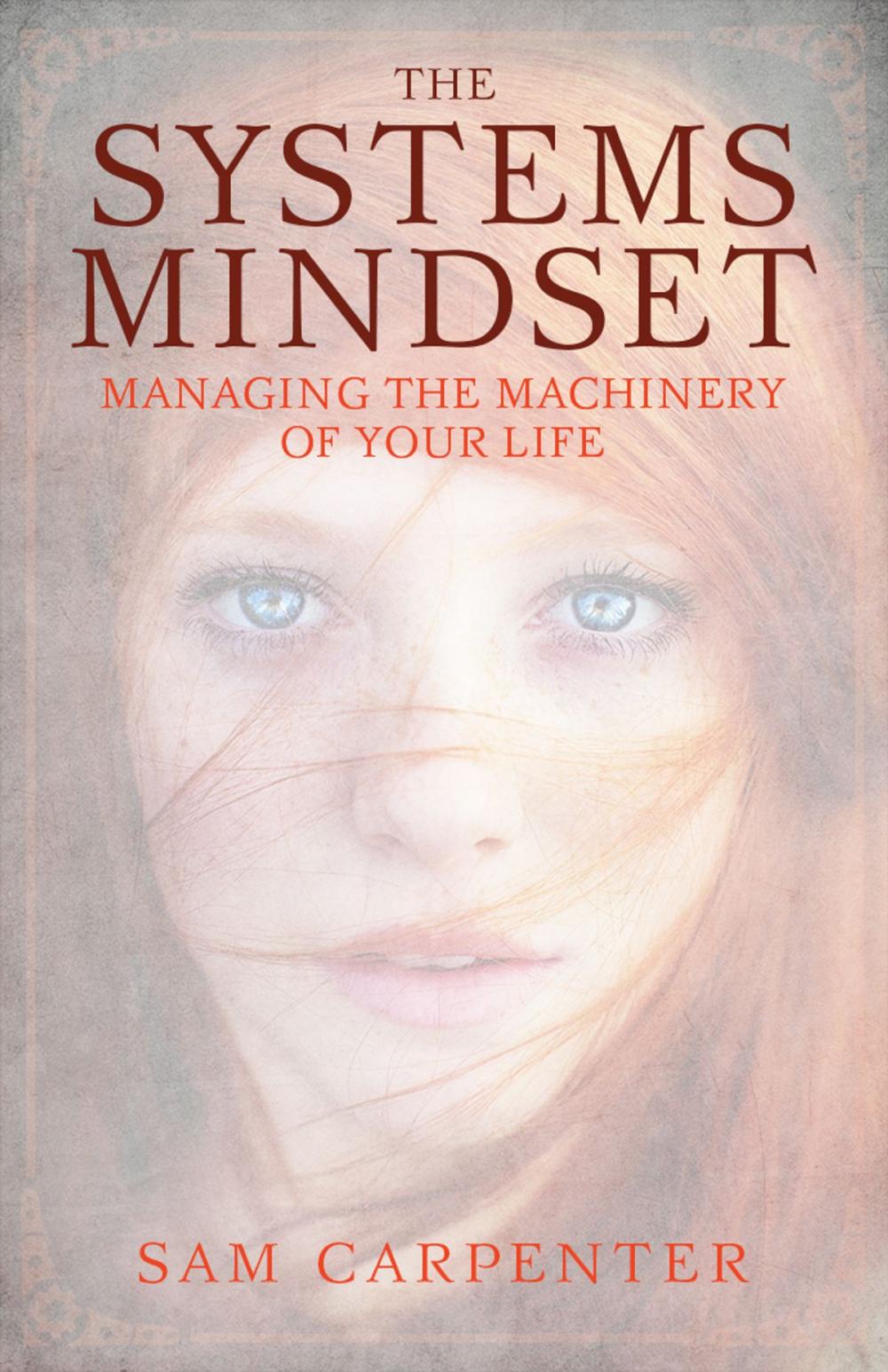 Big bigCover of The Systems Mindset