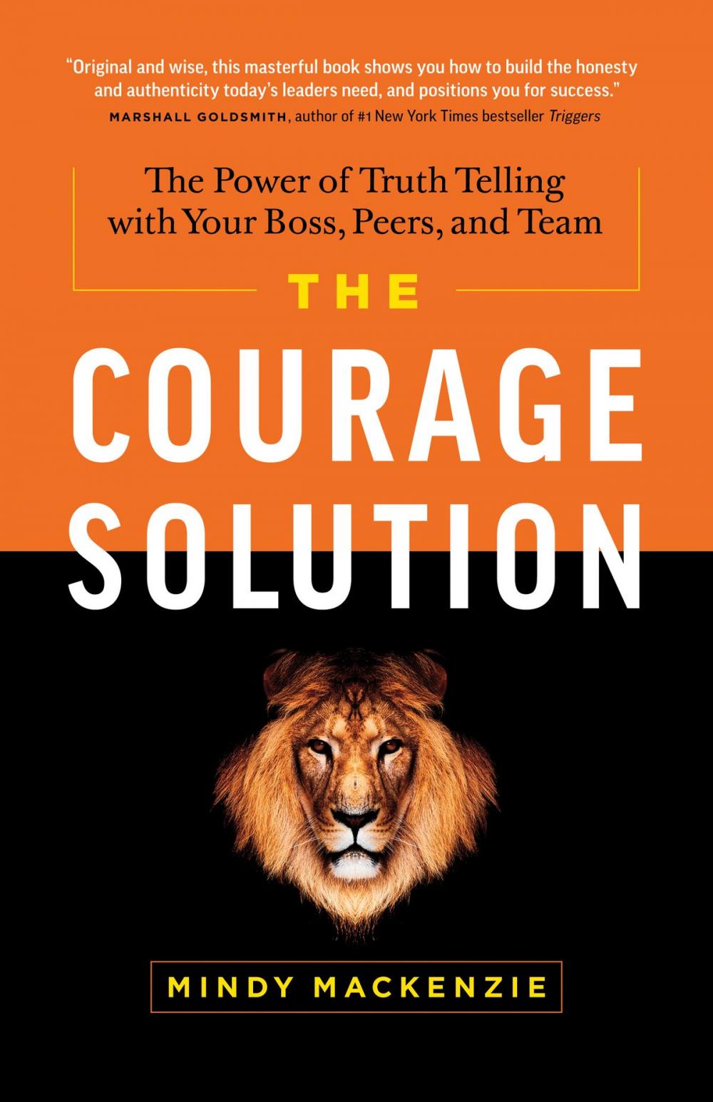 Big bigCover of The Courage Solution