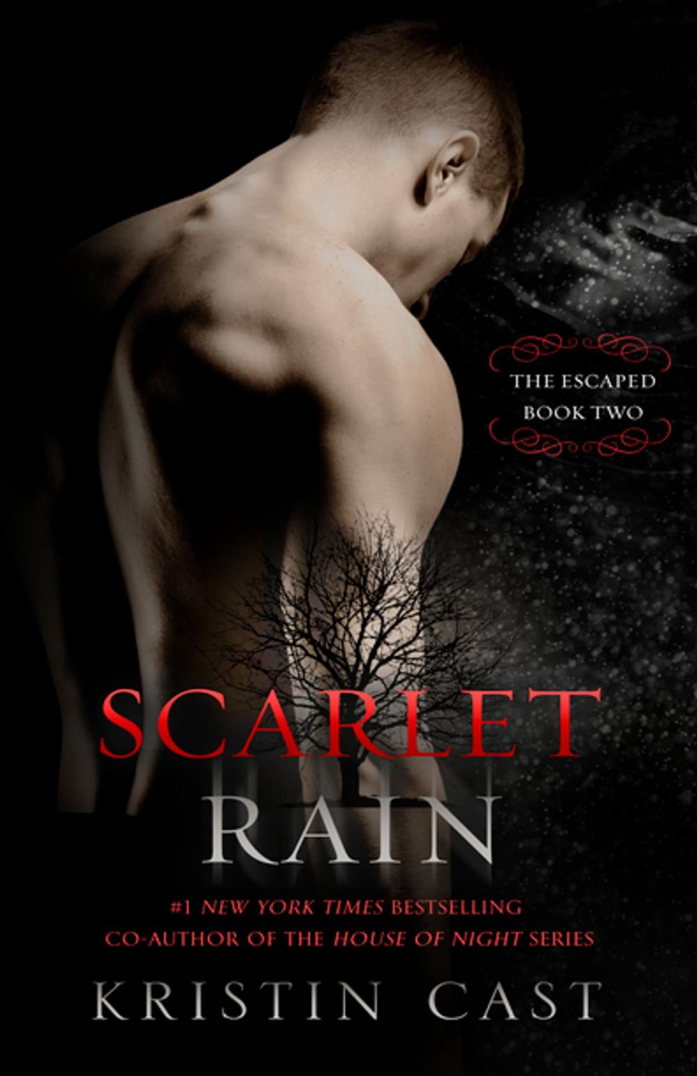 Big bigCover of Scarlet Rain