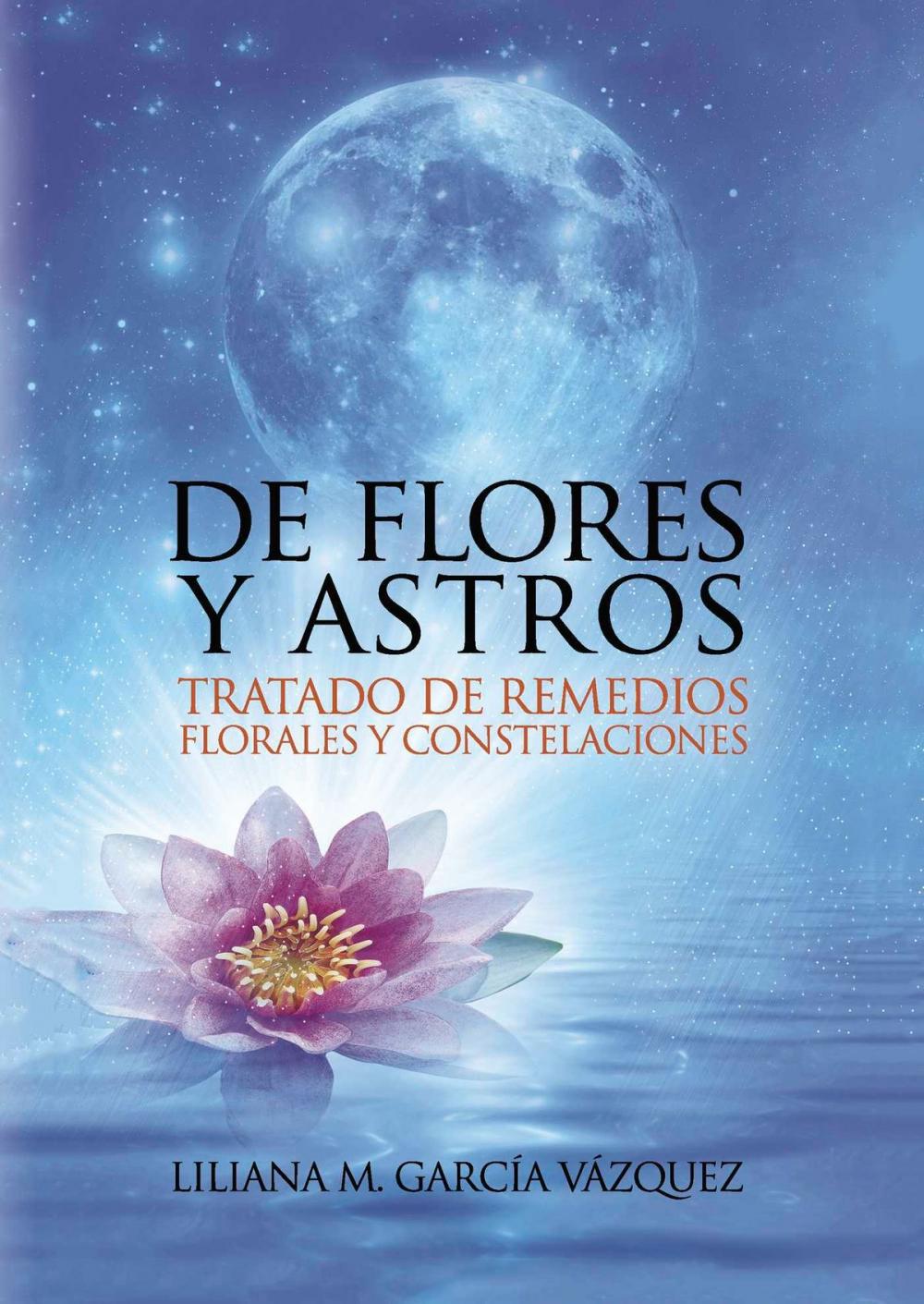 Big bigCover of De Flores y Astros