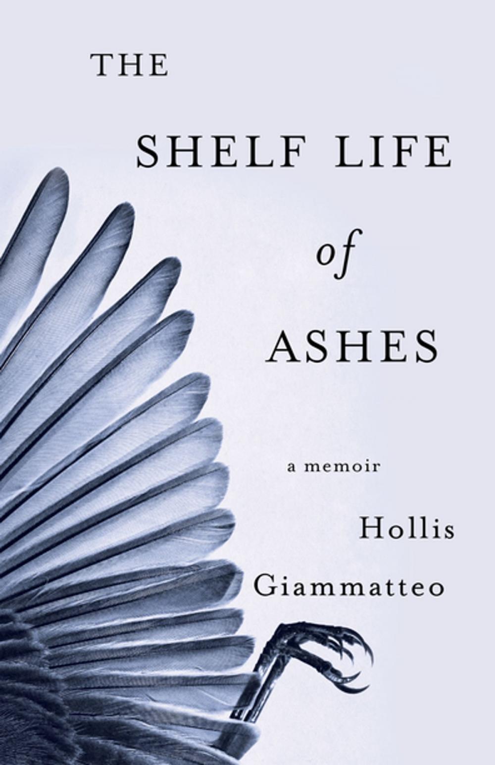 Big bigCover of The Shelf Life of Ashes