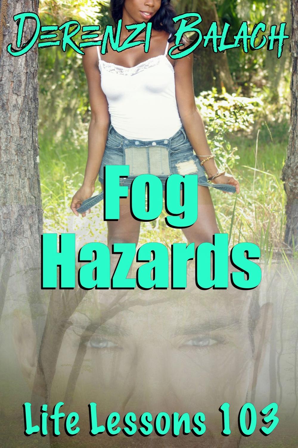 Big bigCover of Fog Hazards