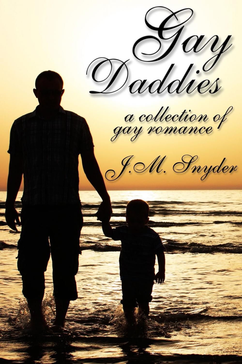 Big bigCover of Gay Daddies Box Set