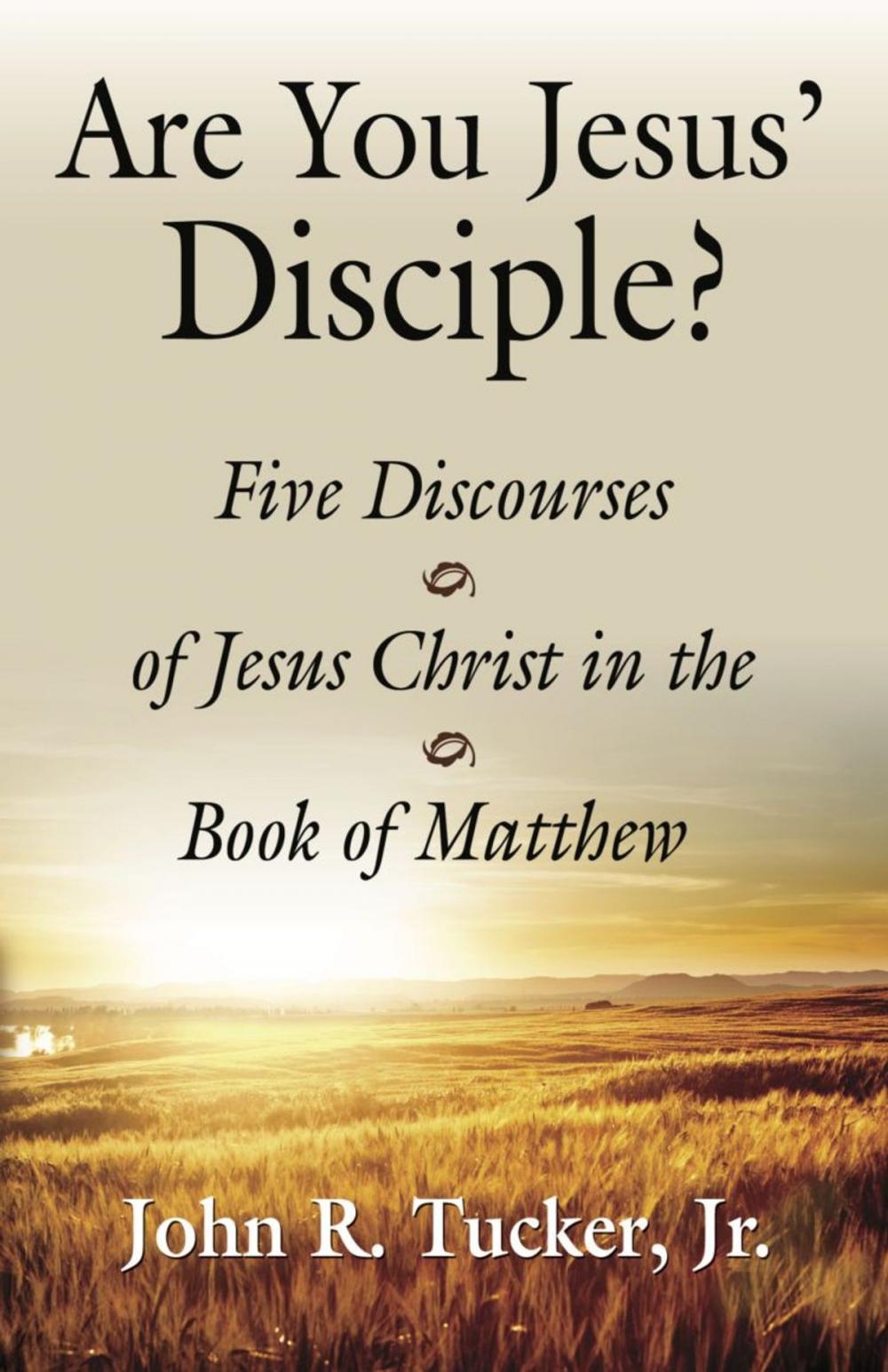 Big bigCover of Are You Jesus' Disciple? Five Discourses of Jesus Christ in the Book of Matthew