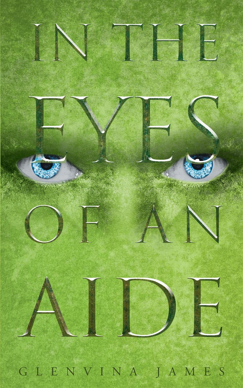 Big bigCover of In the Eyes of an Aide