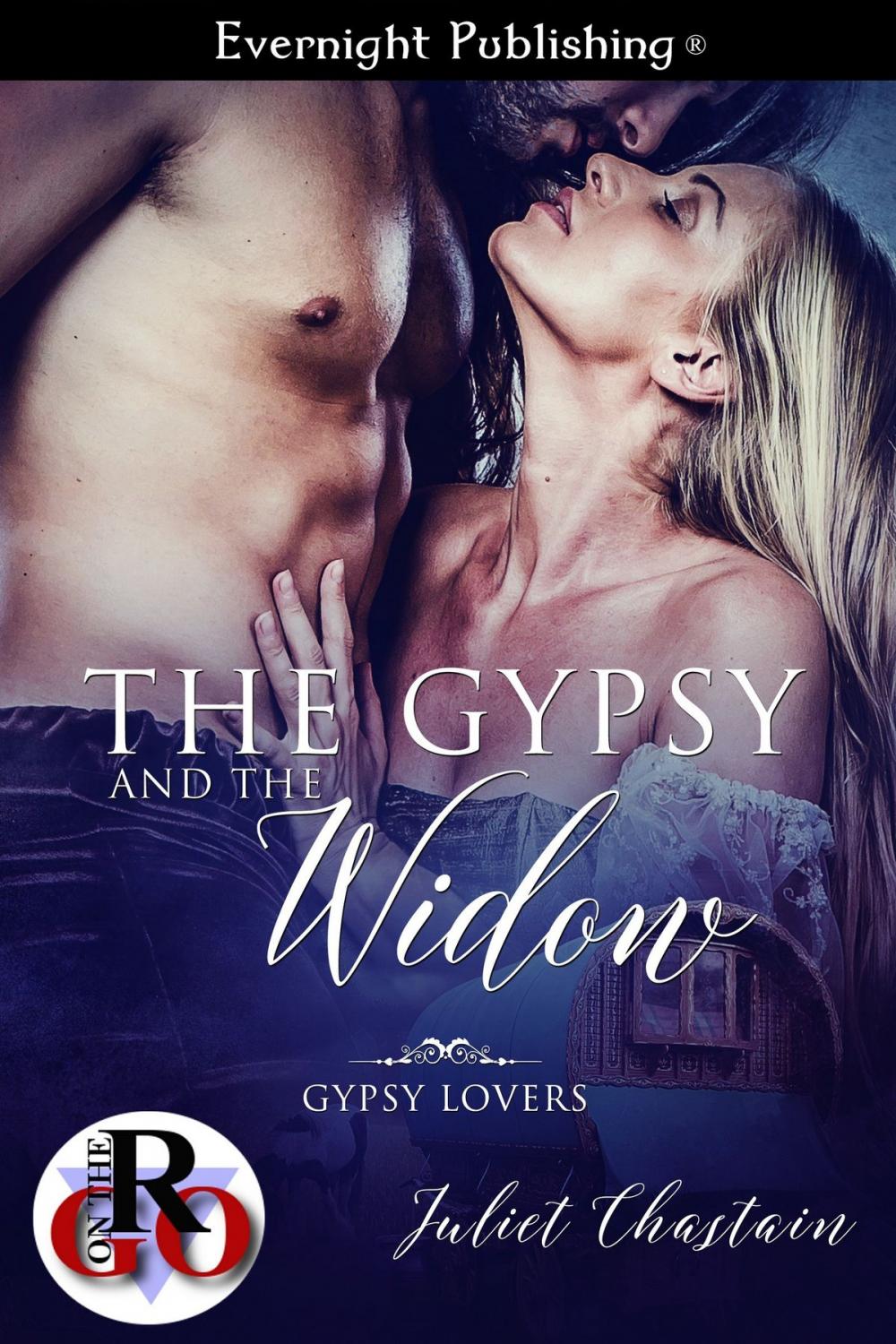 Big bigCover of The Gypsy and the Widow