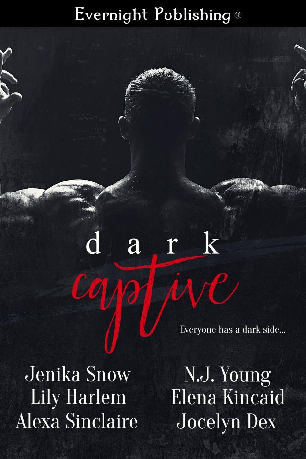 Big bigCover of Dark Captive