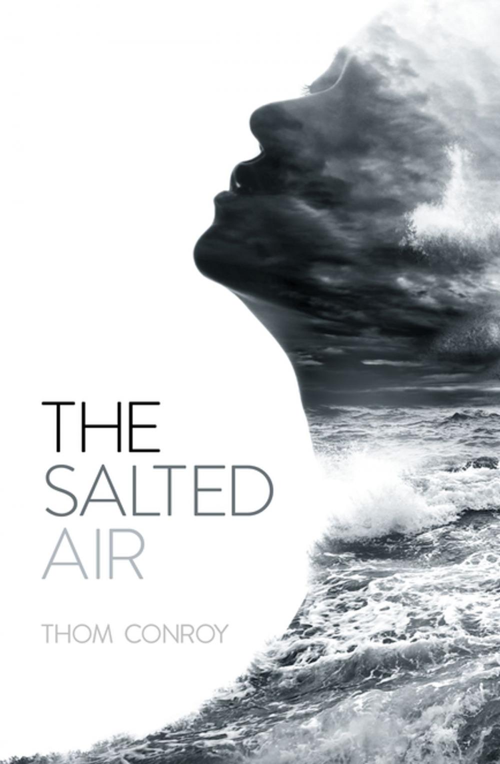 Big bigCover of The Salted Air