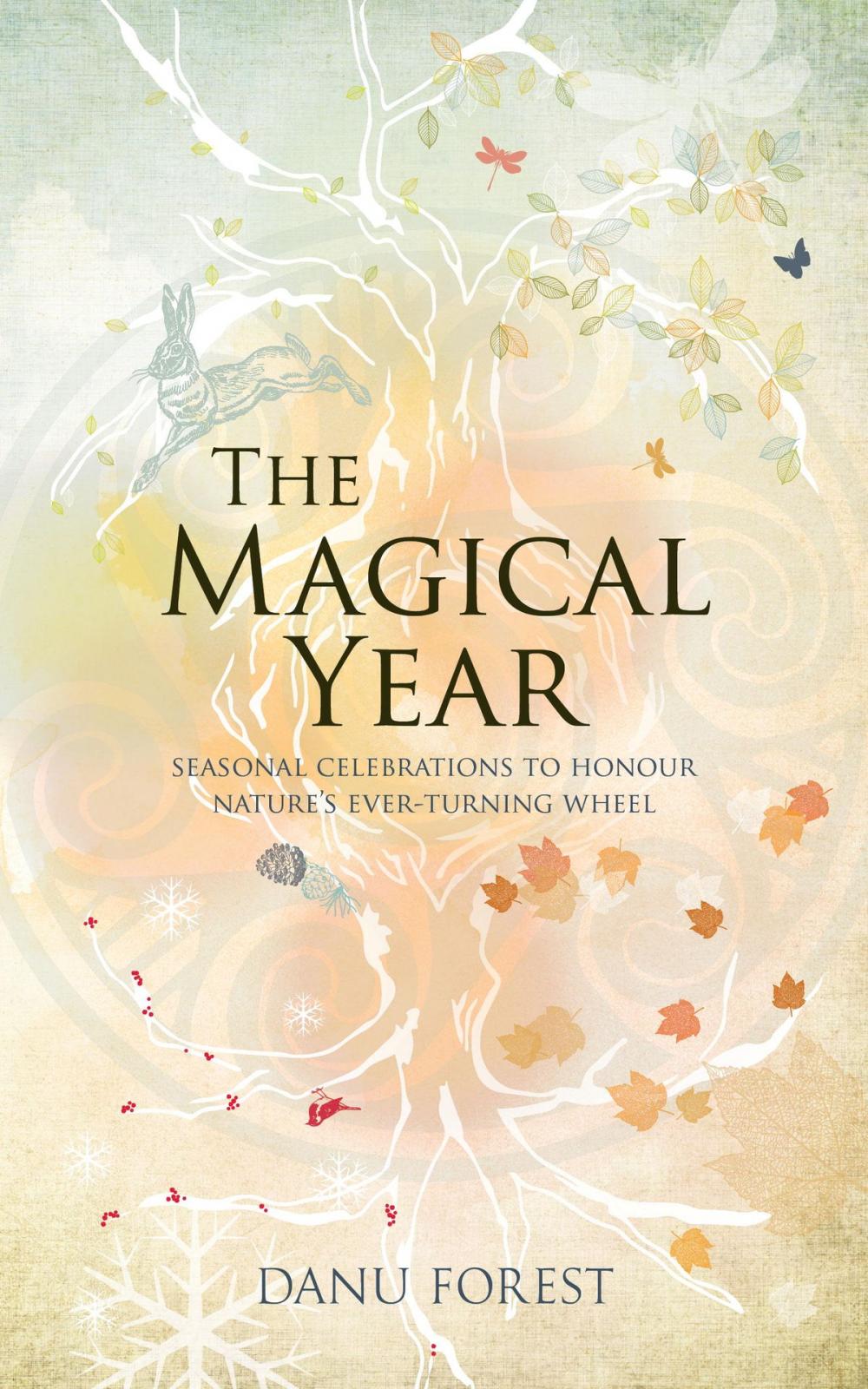 Big bigCover of The Magical Year