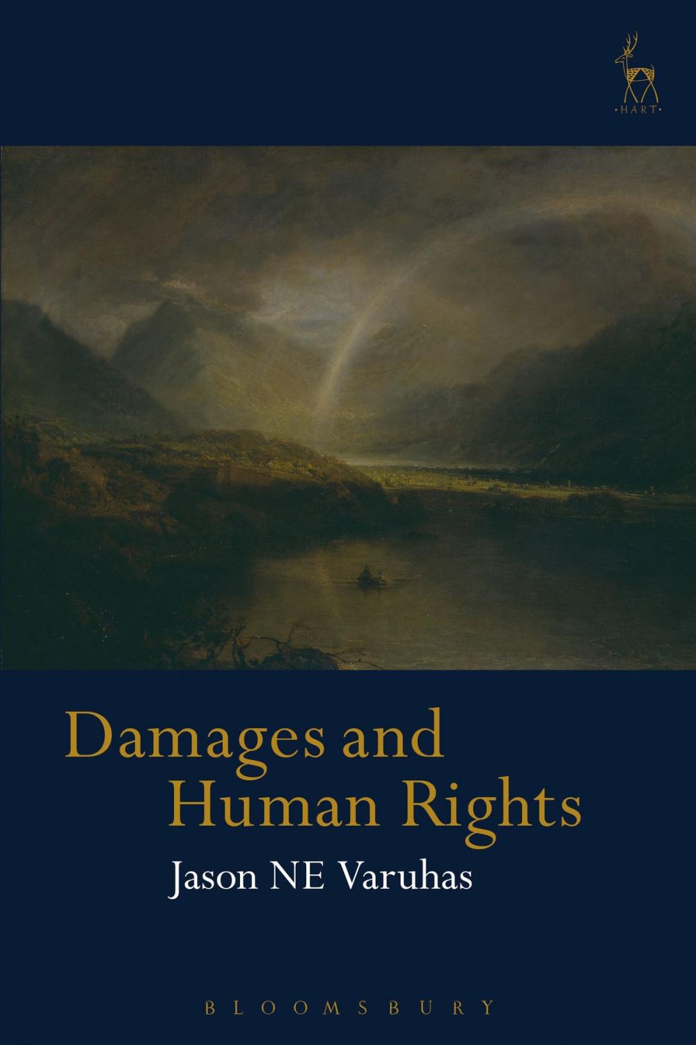 Big bigCover of Damages and Human Rights