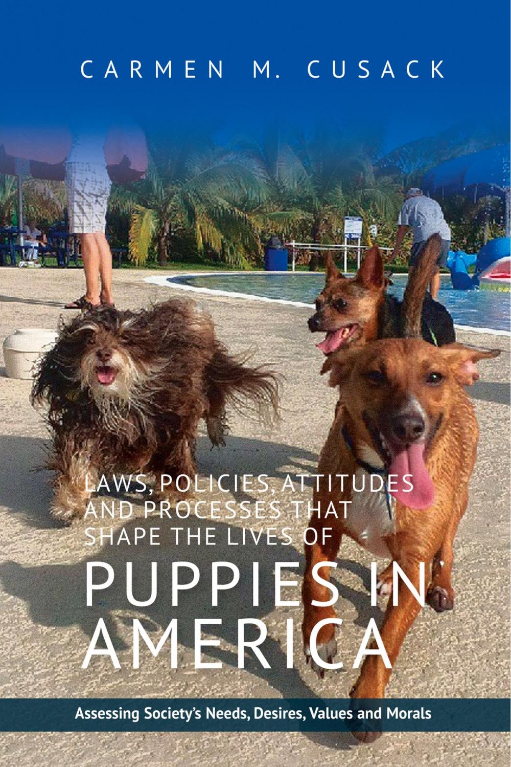 Big bigCover of Laws, Policies, Attitudes and Processes that Shape the Lives of Puppies in America