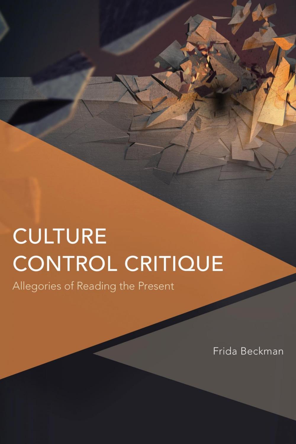 Big bigCover of Culture Control Critique