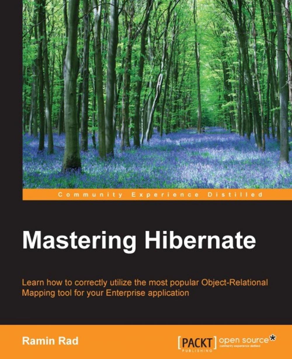 Big bigCover of Mastering Hibernate