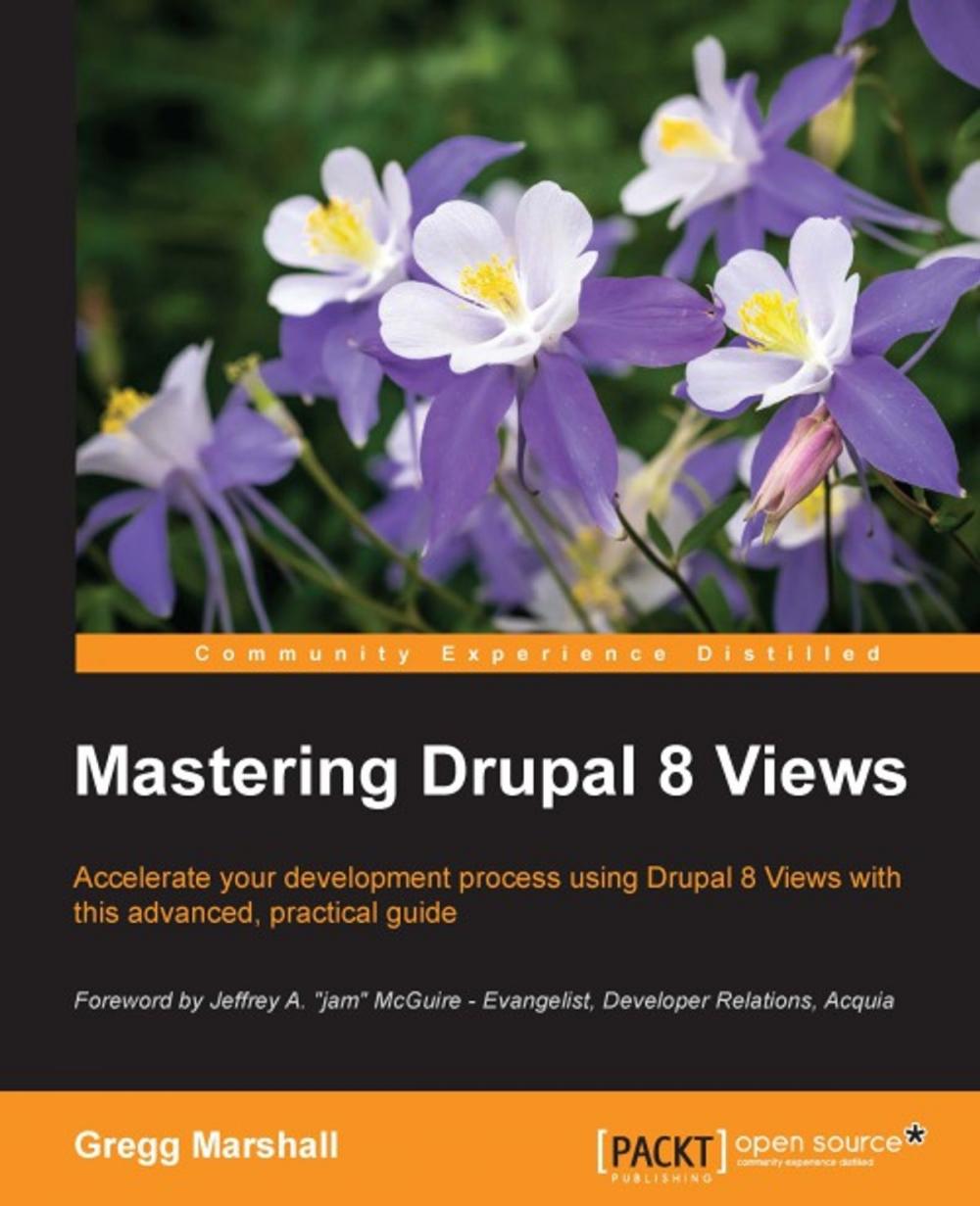 Big bigCover of Mastering Drupal 8 Views