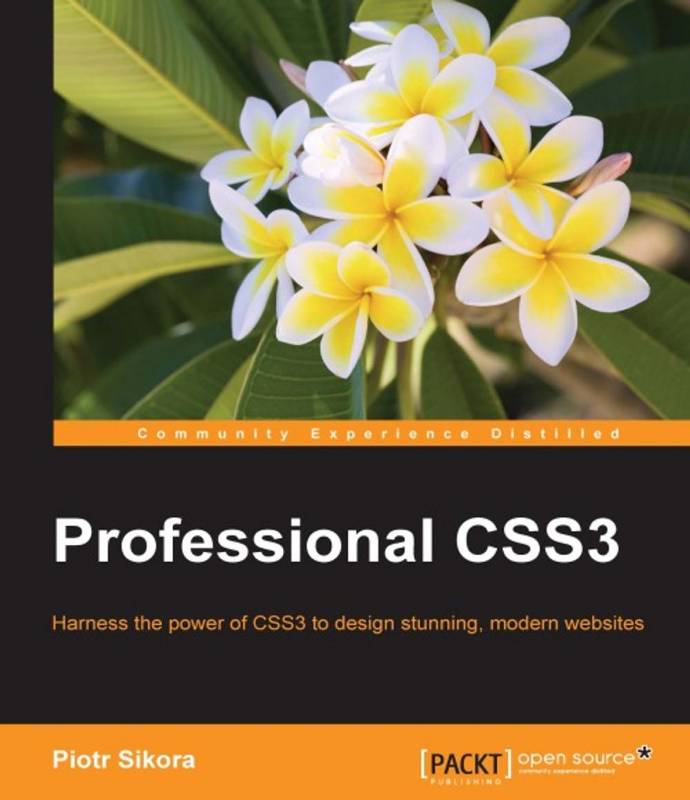 Big bigCover of Professional CSS3