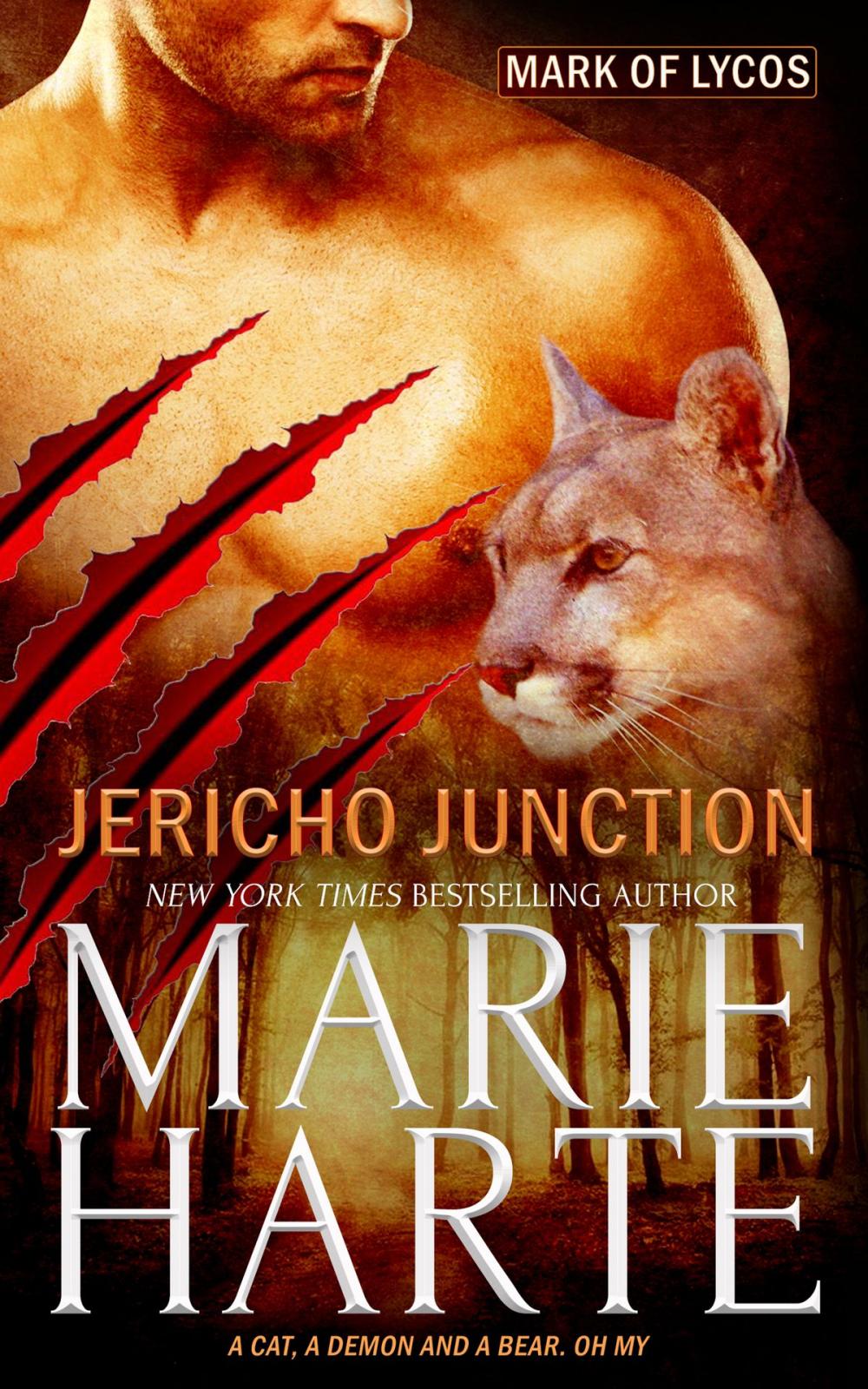 Big bigCover of Jericho Junction