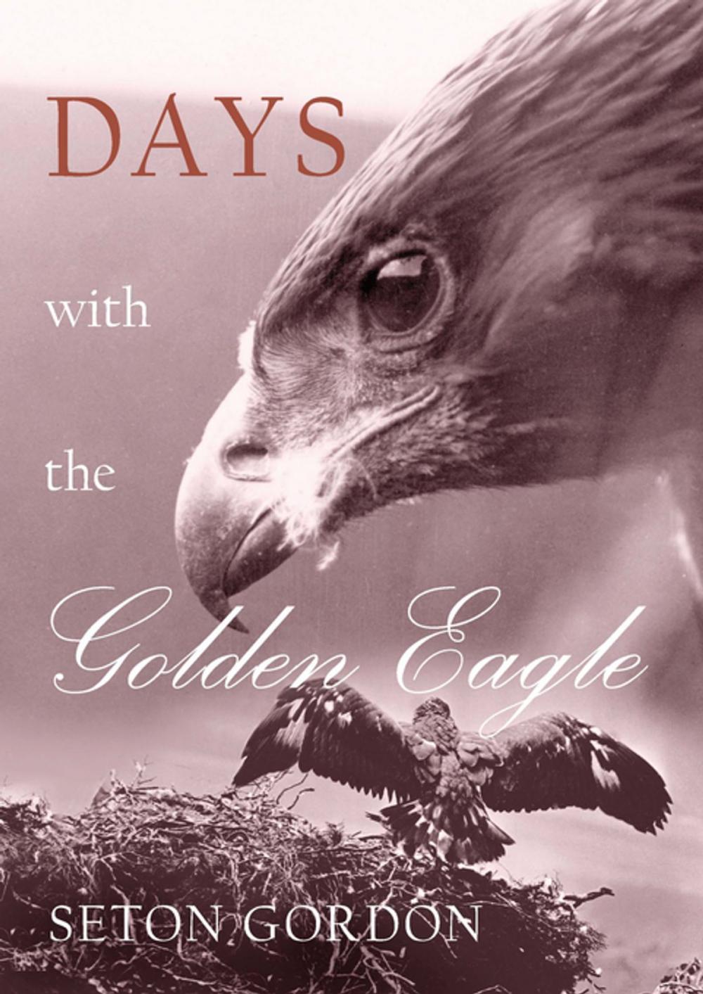 Big bigCover of Days with the Golden Eagle