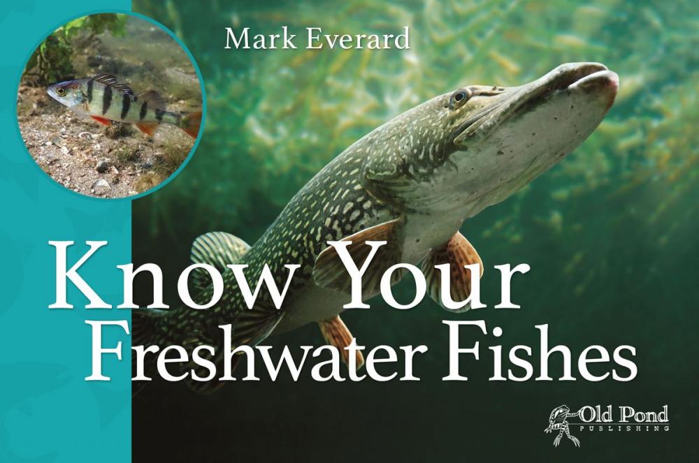 Big bigCover of Know Your Freshwater Fishes