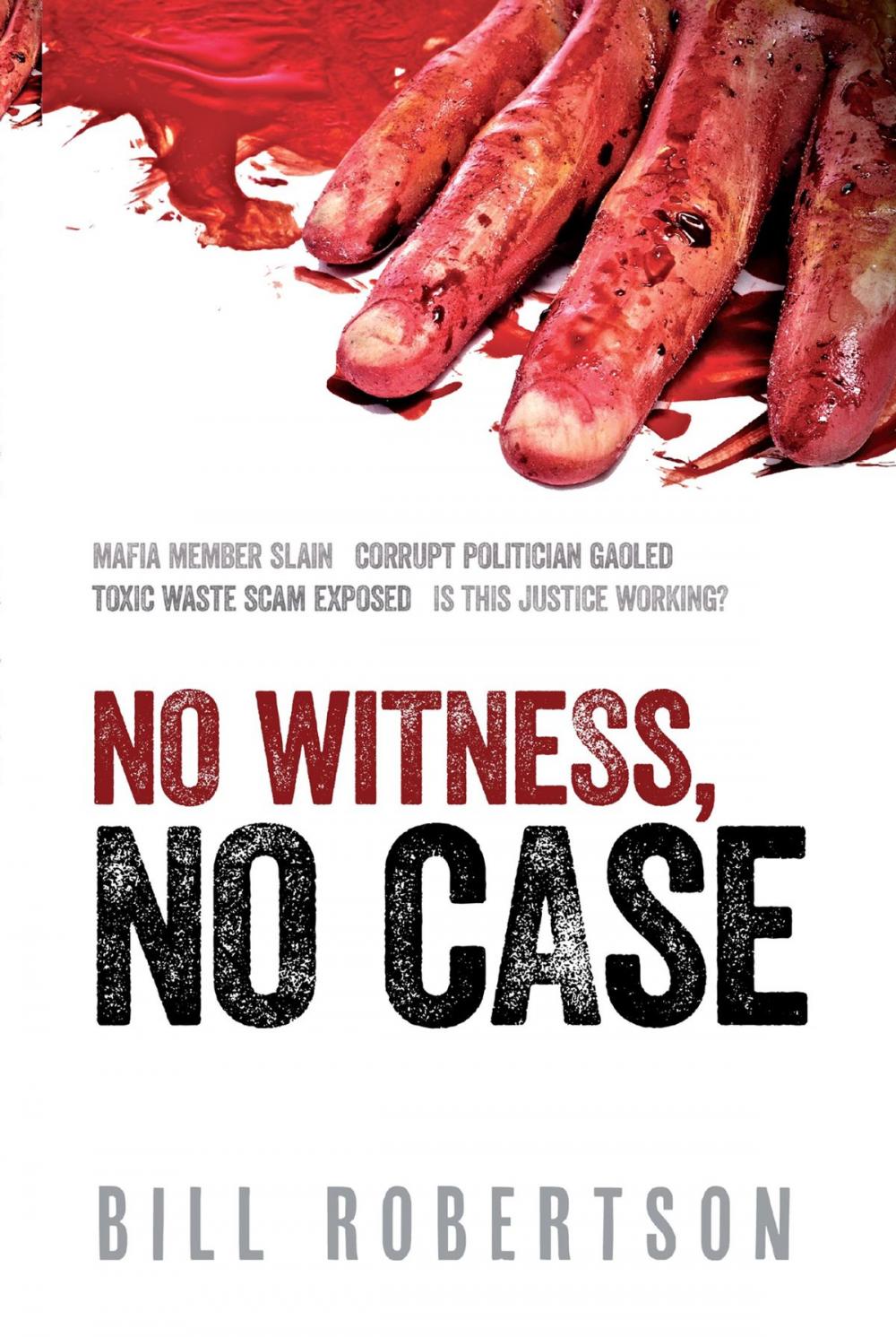 Big bigCover of No Witness, No Case