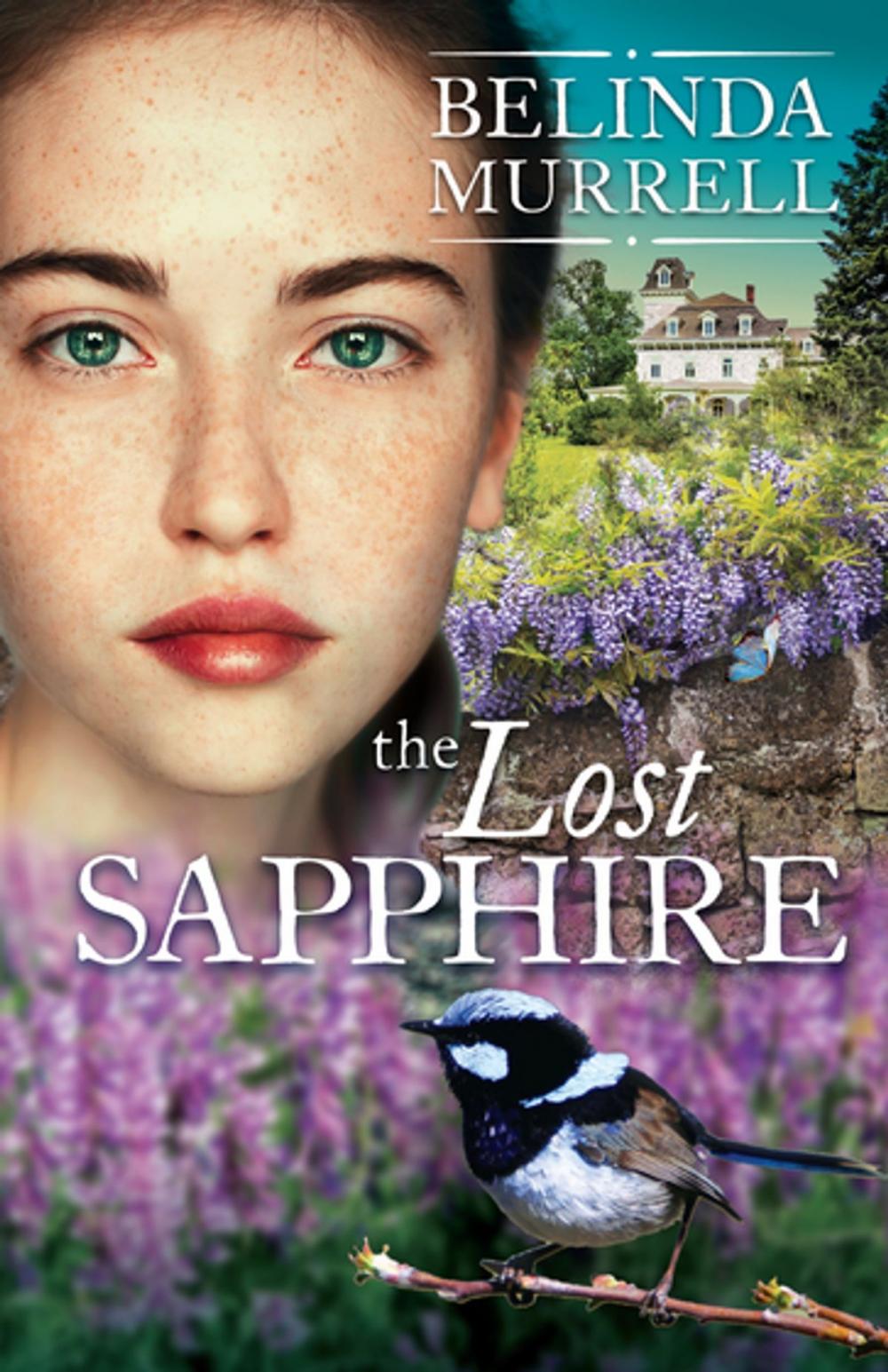 Big bigCover of The Lost Sapphire