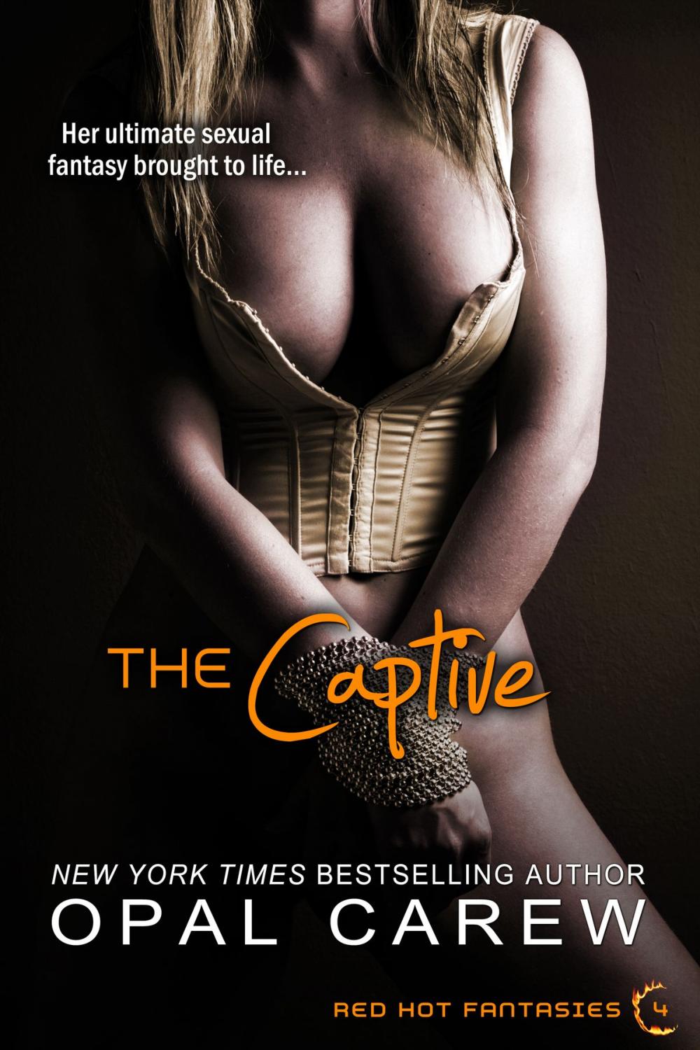 Big bigCover of The Captive