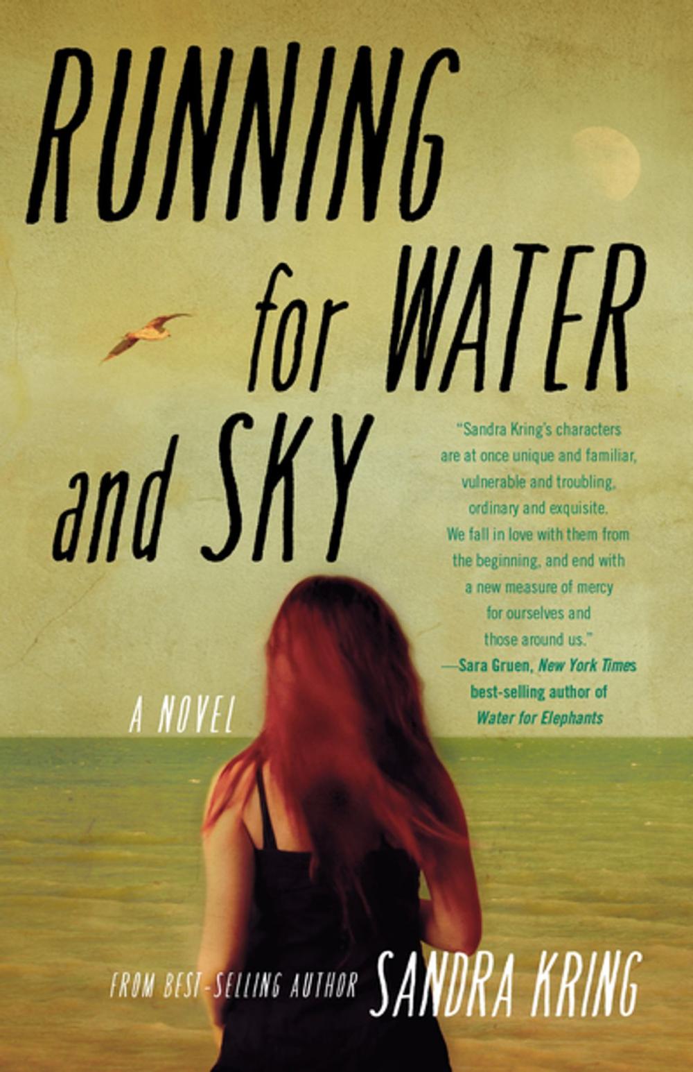 Big bigCover of Running for Water and Sky