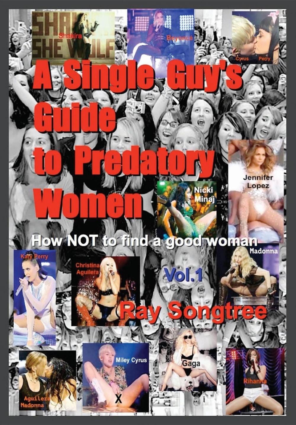 Big bigCover of A Single Guy's Guide to Predatory Women (Vol. 1, Lipstick and War Crimes Series)