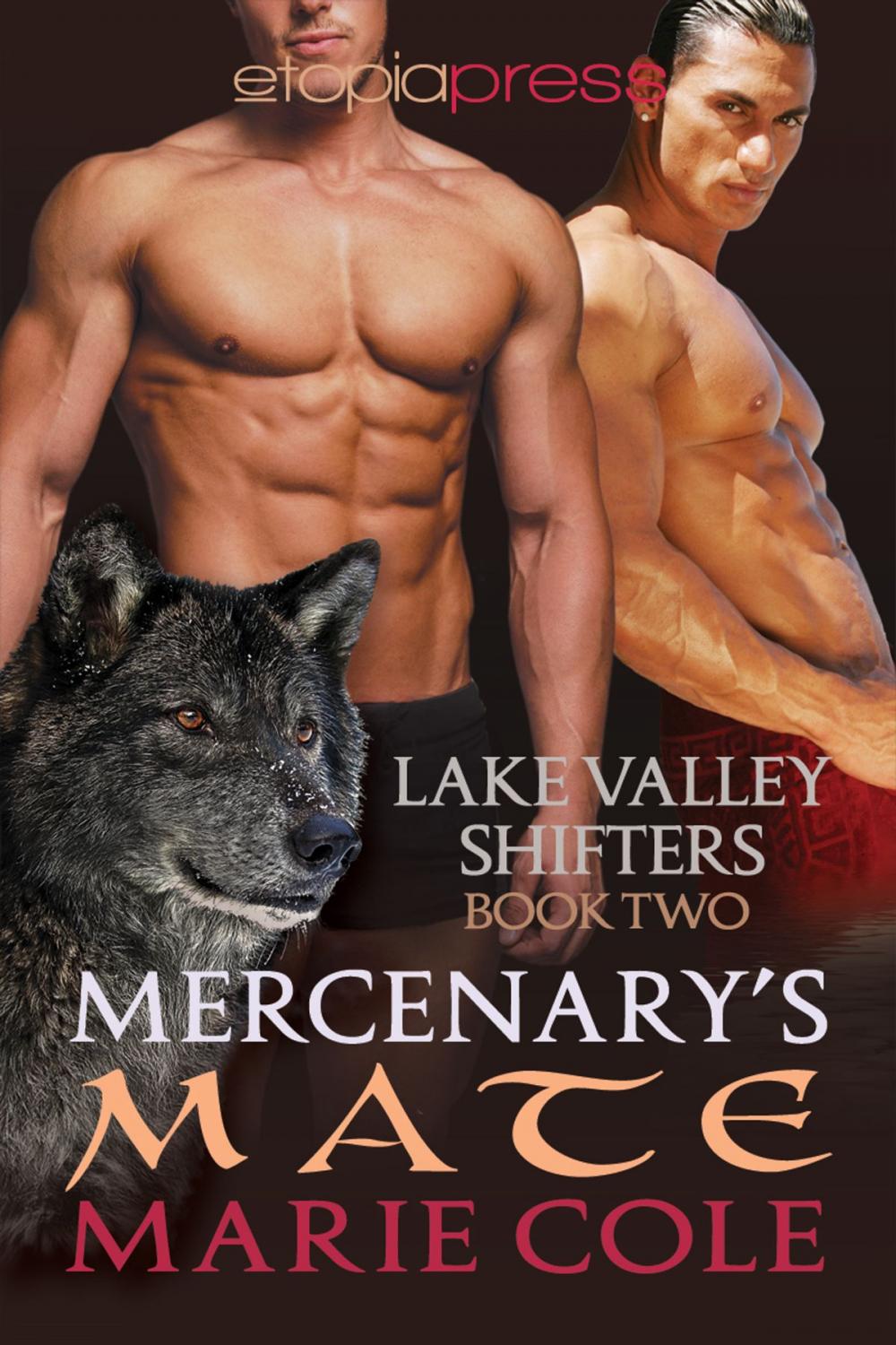 Big bigCover of Mercenary's Mate