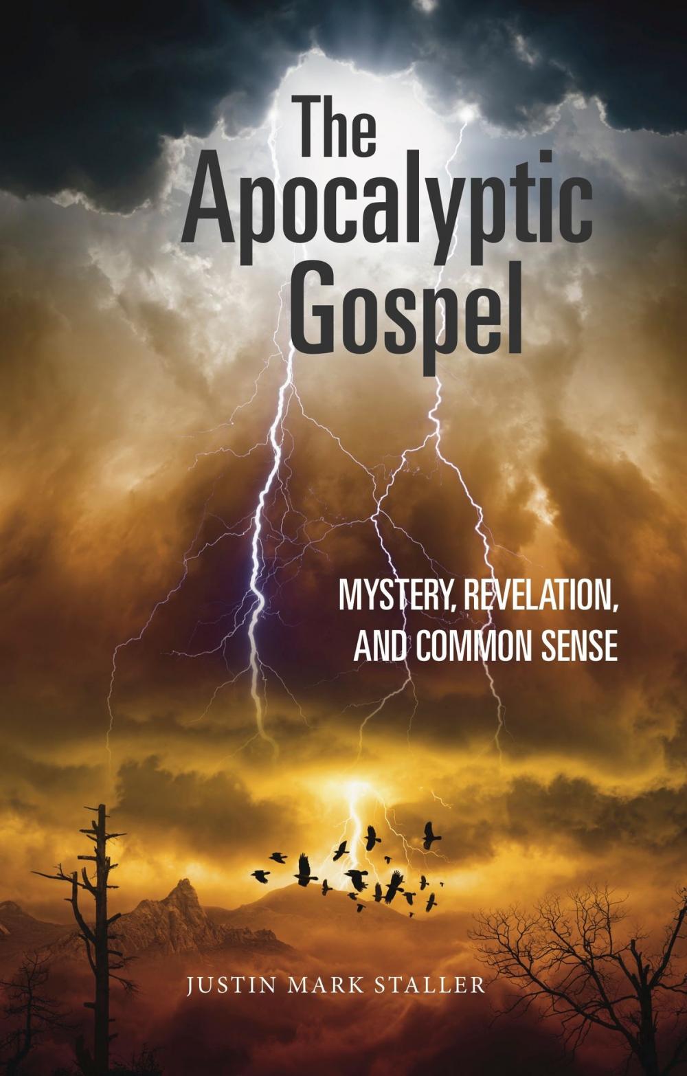 Big bigCover of The Apocalyptic Gospel: Mystery, Revelation, and Common Sense