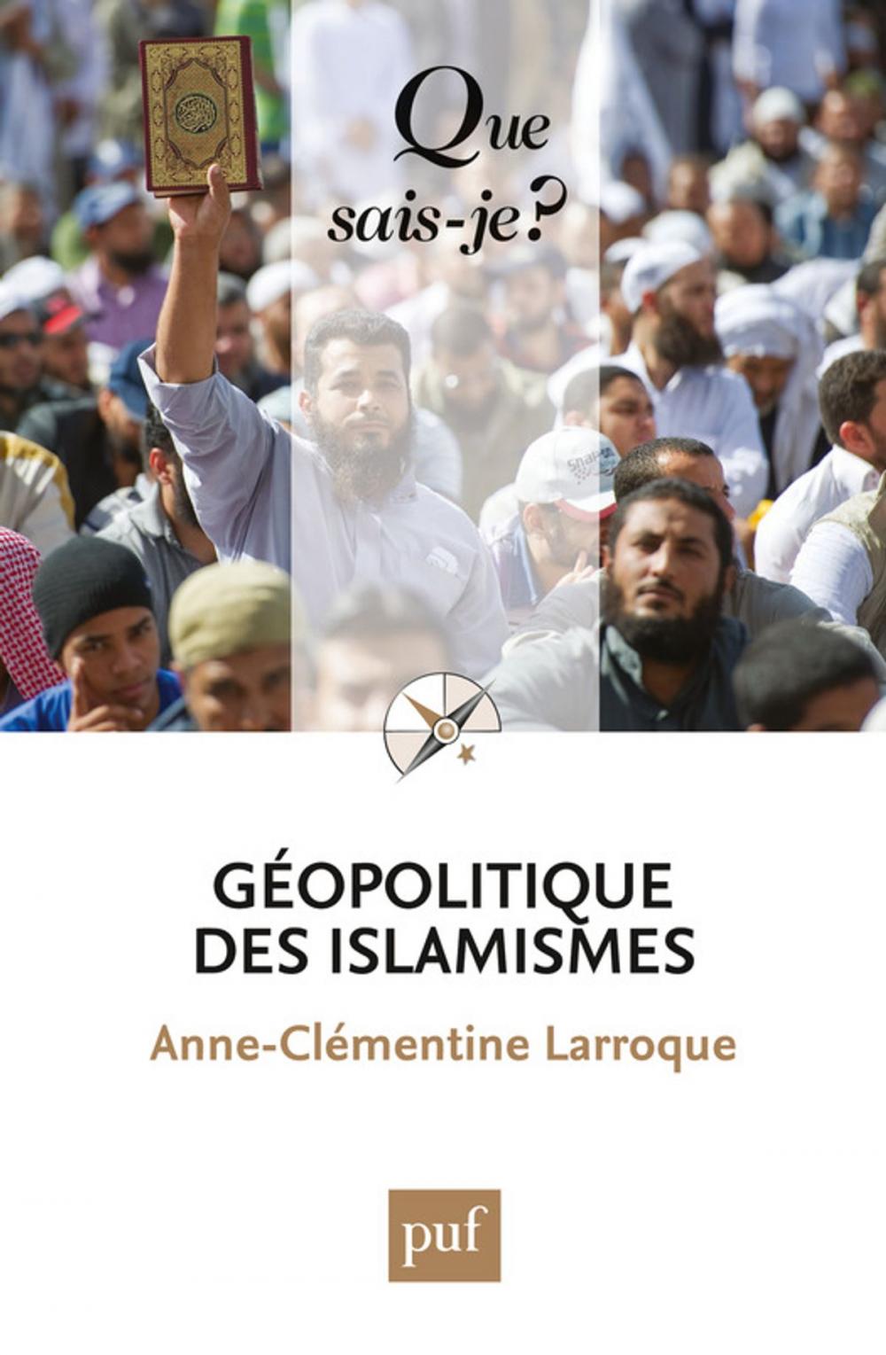 Big bigCover of Géopolitique des islamismes