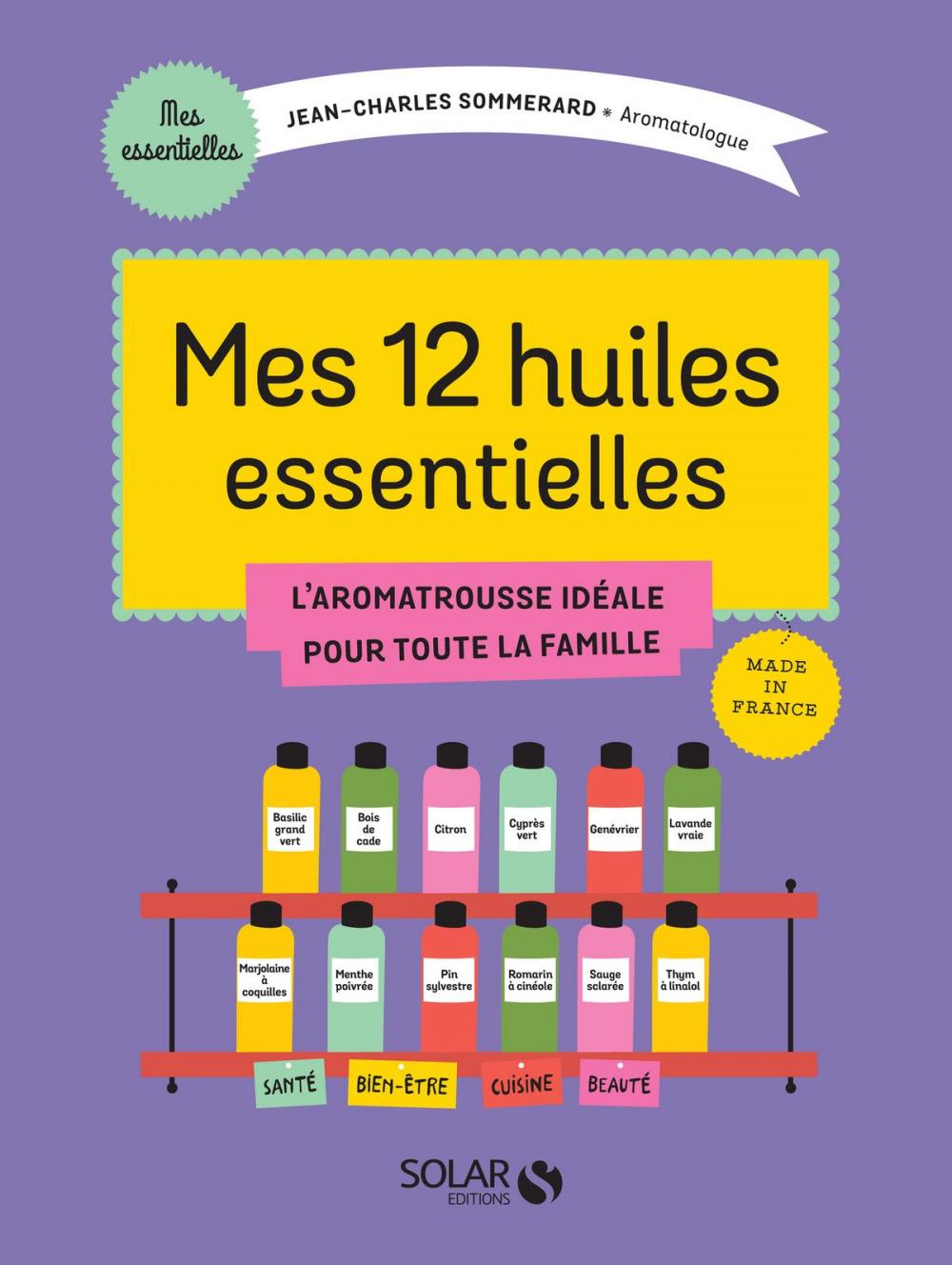 Big bigCover of Mes 12 huiles essentielles