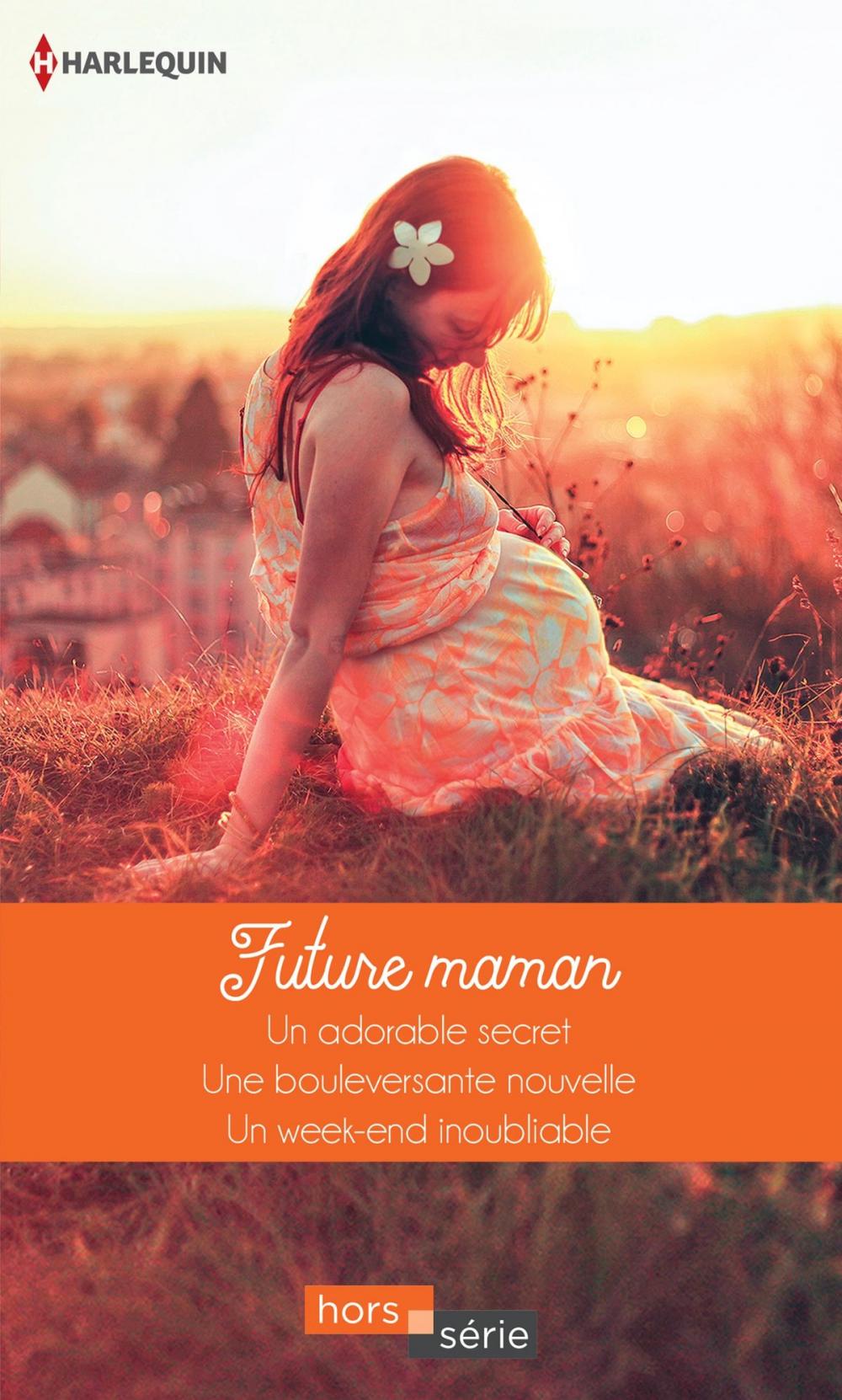 Big bigCover of Future maman