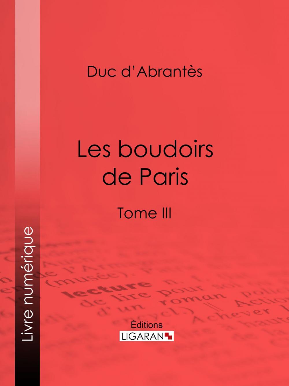 Big bigCover of Les Boudoirs de Paris