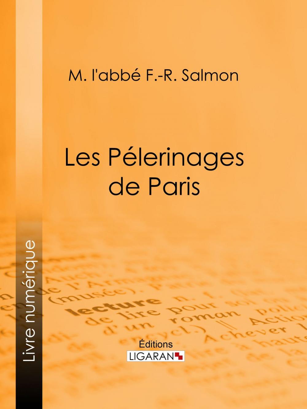 Big bigCover of Les Pélerinages de Paris