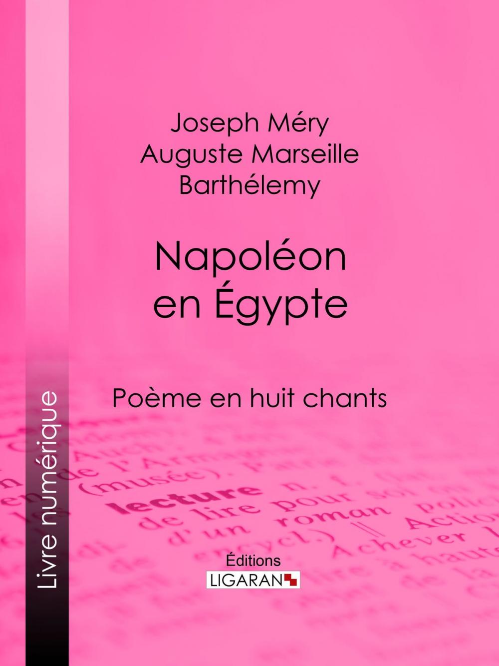 Big bigCover of Napoléon en Égypte