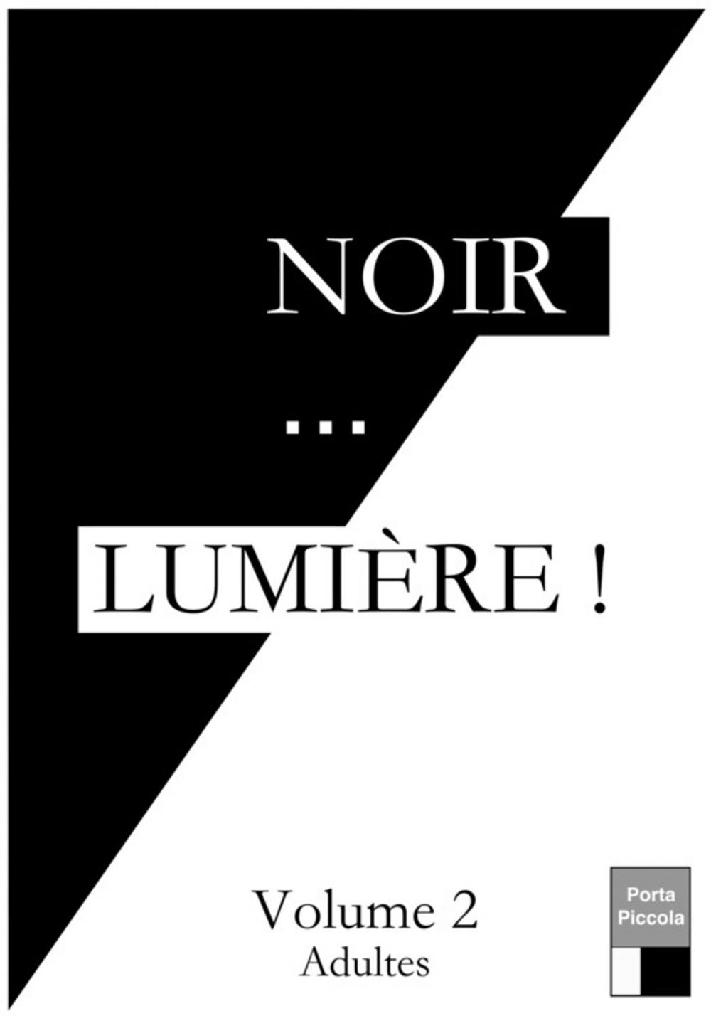 Big bigCover of Noir... LUMIÈRE ! Volume 2