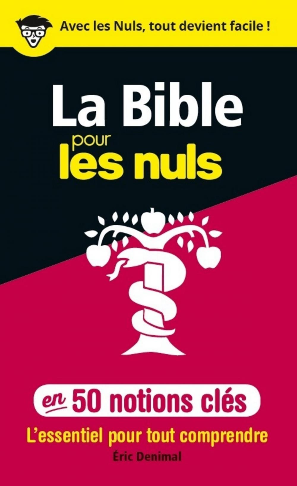 Big bigCover of 50 notions clés sur la Bible pour les Nuls