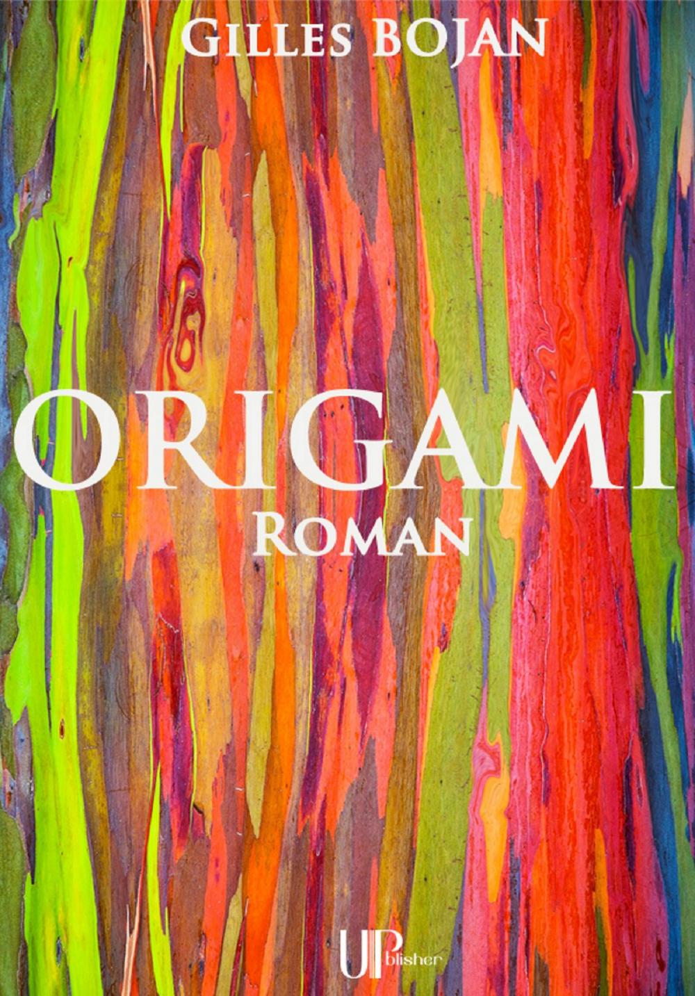 Big bigCover of Origami