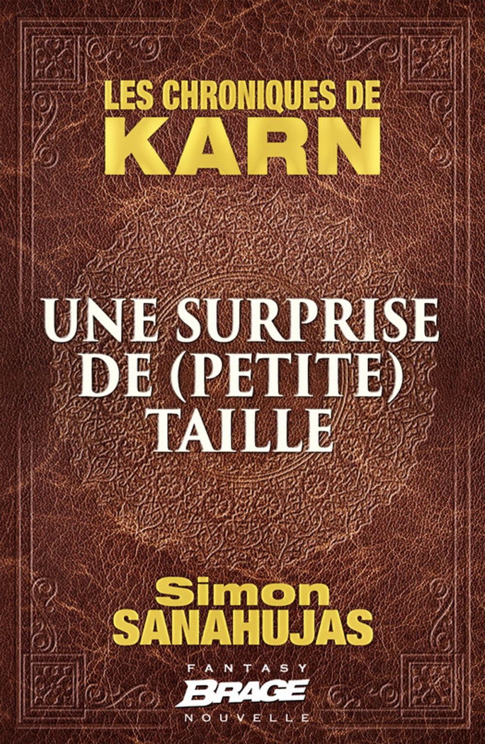 Big bigCover of Une surprise de (petite) taille