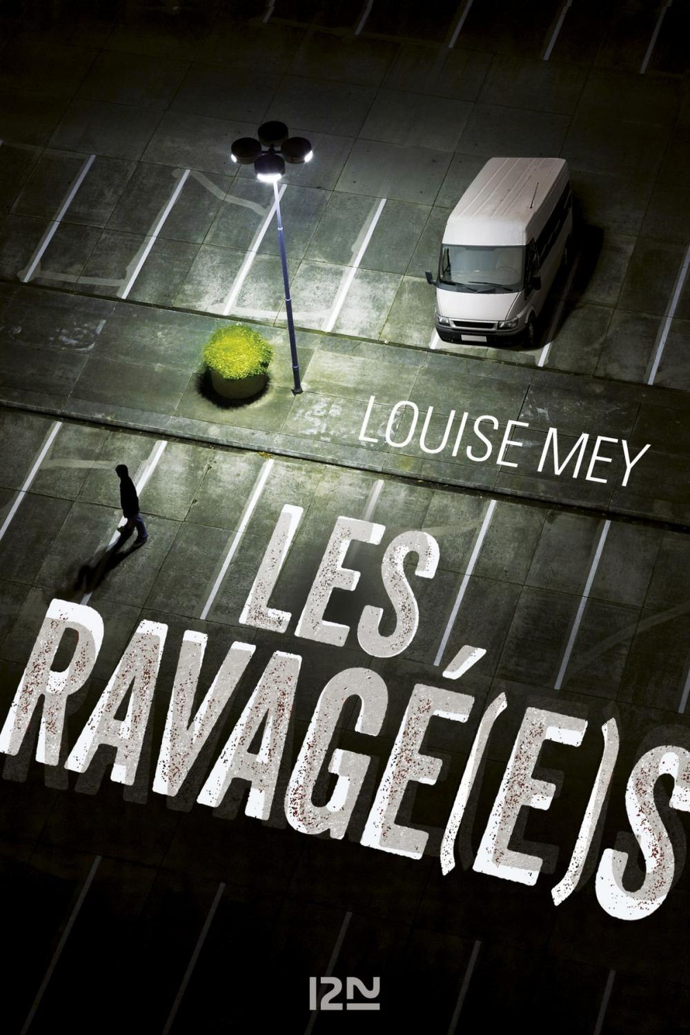 Big bigCover of Les Ravagé(e)s