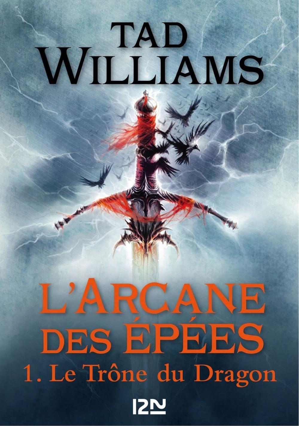 Big bigCover of L'Arcane des épées - tome 1