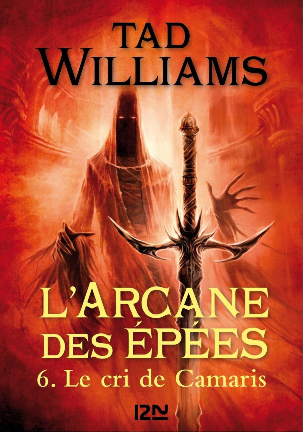 Big bigCover of L'Arcane des épées - tome 6