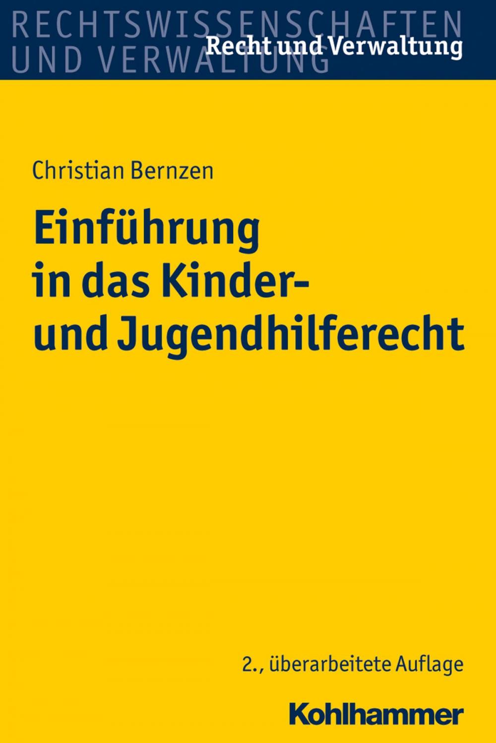 Big bigCover of Einführung in das Kinder- und Jugendhilferecht